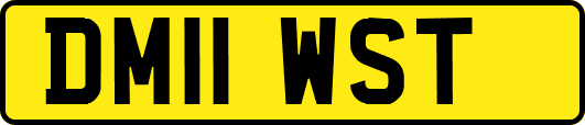DM11WST
