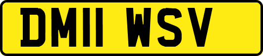 DM11WSV