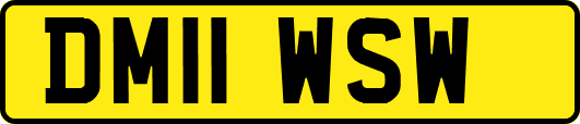 DM11WSW