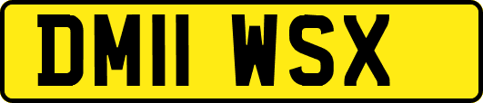 DM11WSX