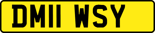 DM11WSY
