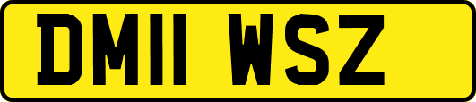 DM11WSZ