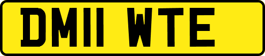 DM11WTE
