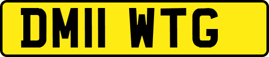 DM11WTG