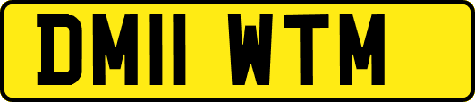 DM11WTM