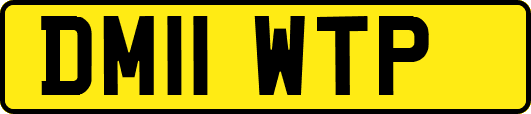 DM11WTP