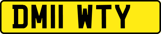 DM11WTY