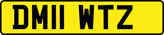 DM11WTZ