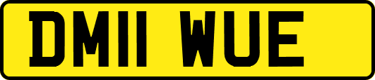 DM11WUE