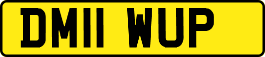 DM11WUP