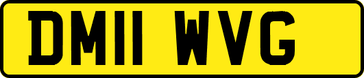 DM11WVG