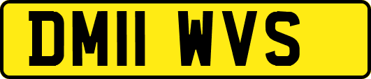 DM11WVS