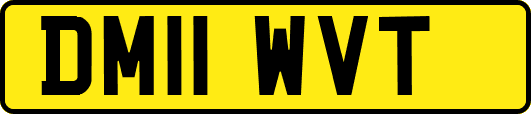 DM11WVT