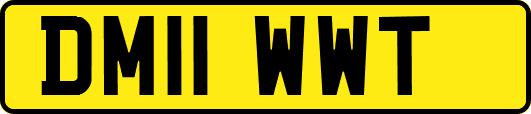 DM11WWT