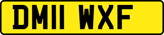 DM11WXF