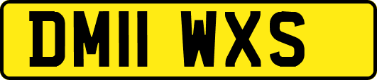 DM11WXS