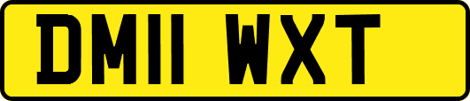 DM11WXT