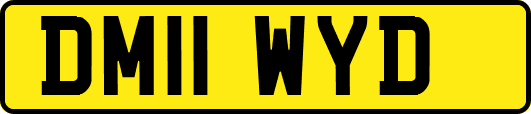 DM11WYD