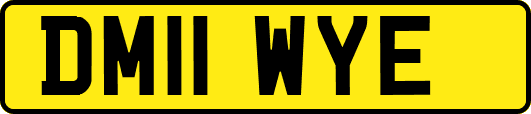DM11WYE