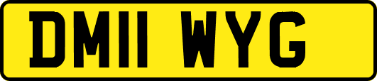 DM11WYG