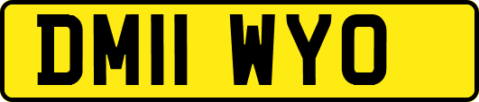 DM11WYO
