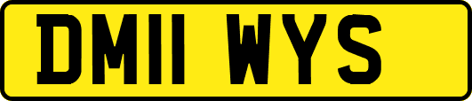 DM11WYS