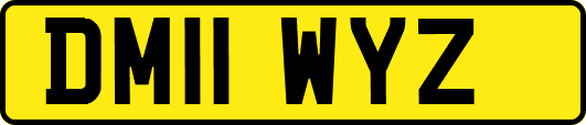 DM11WYZ