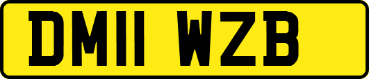 DM11WZB