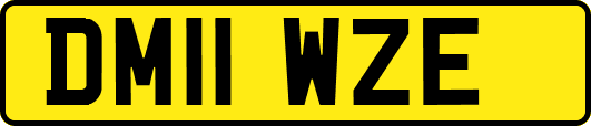 DM11WZE