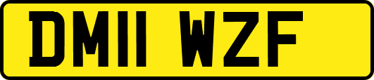 DM11WZF