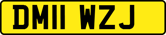 DM11WZJ