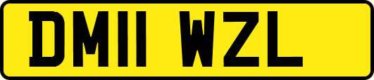 DM11WZL
