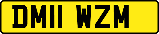DM11WZM