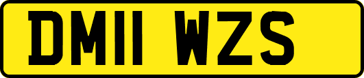 DM11WZS