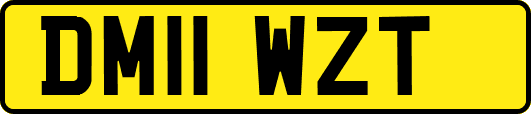 DM11WZT