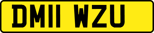 DM11WZU