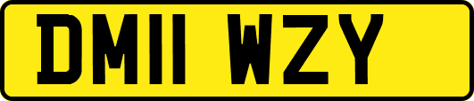 DM11WZY