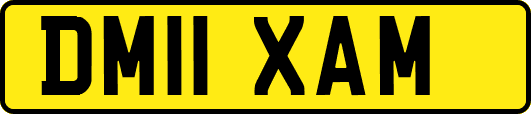 DM11XAM