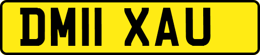 DM11XAU