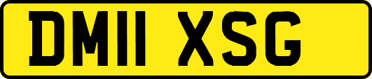 DM11XSG