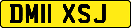 DM11XSJ