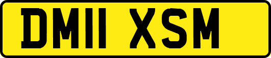 DM11XSM