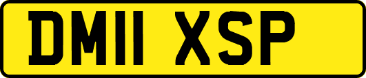DM11XSP