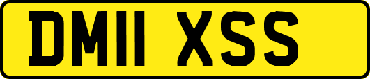 DM11XSS