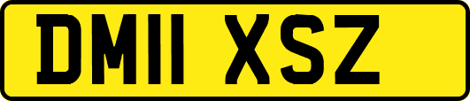 DM11XSZ