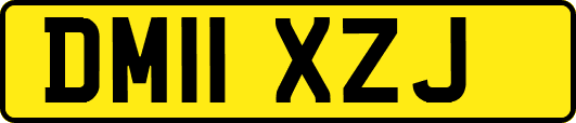 DM11XZJ