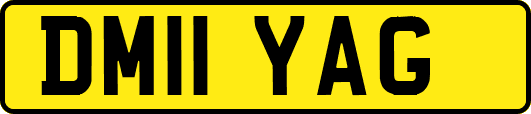 DM11YAG