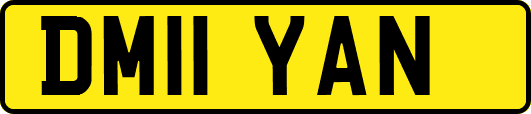 DM11YAN