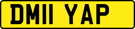DM11YAP