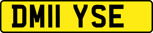 DM11YSE